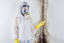 Best Industrial Mold Remediation  in Ellsworth, KS